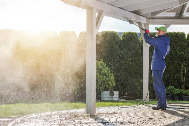 Best Driveway Pressure Washing  in Rosenberg, TX