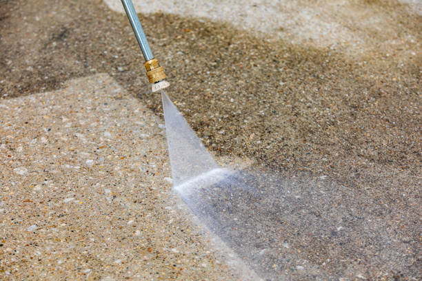 Best Paint Preparation  in Rosenberg, TX